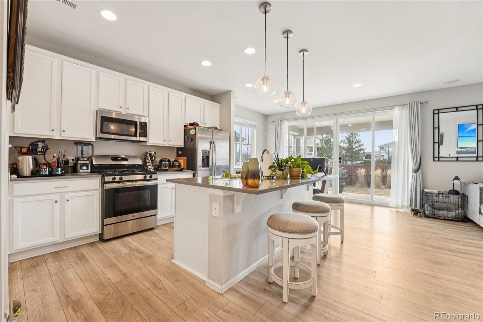 MLS Image #11 for 16284  alberta drive,parker, Colorado