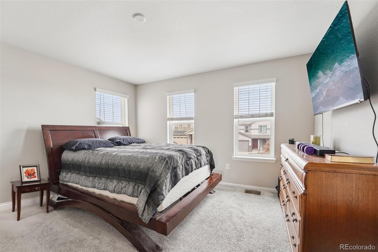 MLS Image #15 for 16284  alberta drive,parker, Colorado