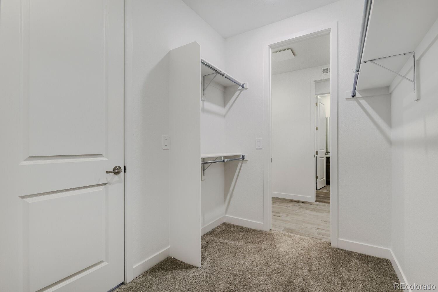 MLS Image #7 for 4024  buttongrass trail,castle rock, Colorado