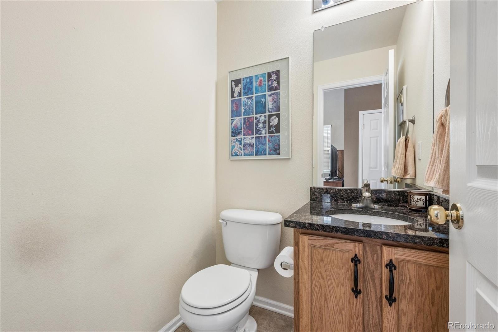 MLS Image #10 for 9286  longstone drive,parker, Colorado