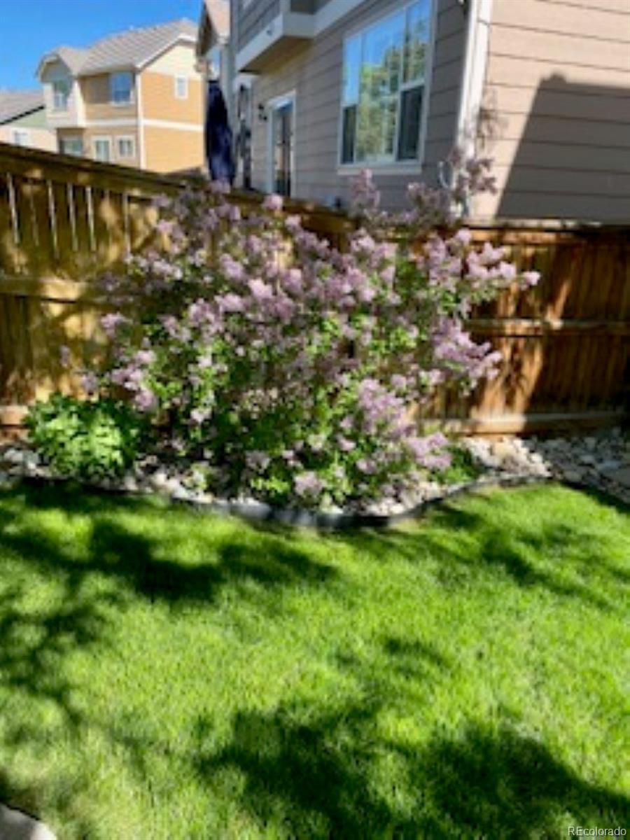 MLS Image #24 for 9286  longstone drive,parker, Colorado