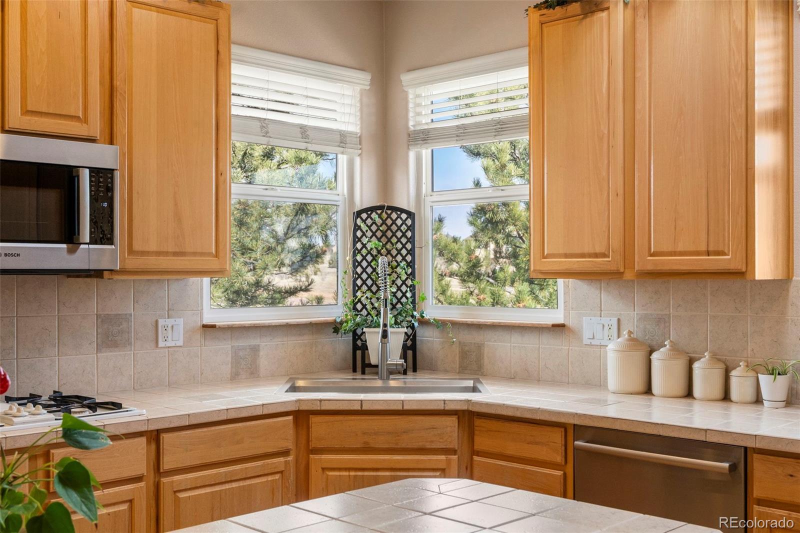 MLS Image #13 for 9448  cairngorm way,colorado springs, Colorado