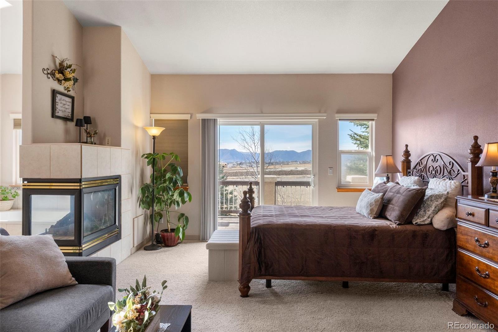 MLS Image #20 for 9448  cairngorm way,colorado springs, Colorado
