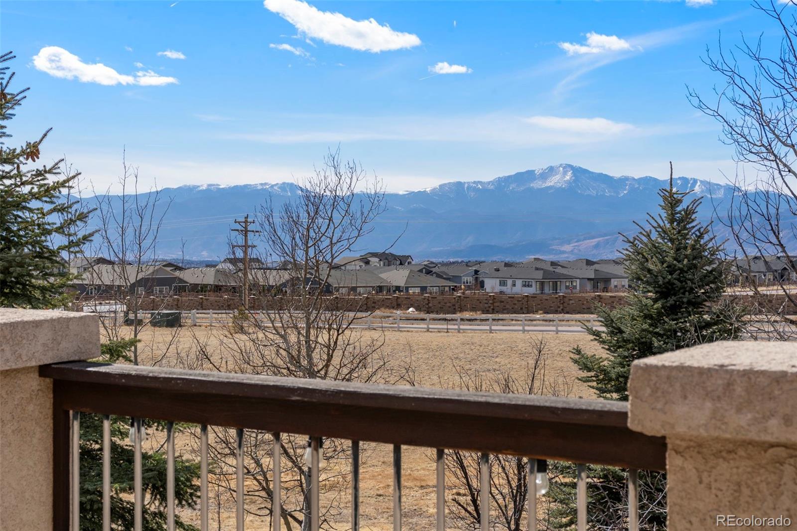 MLS Image #36 for 9448  cairngorm way,colorado springs, Colorado