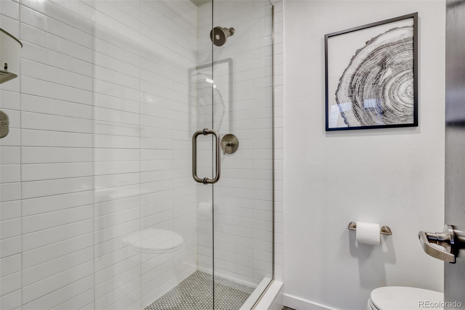 MLS Image #11 for 1930  hooker street 3,denver, Colorado