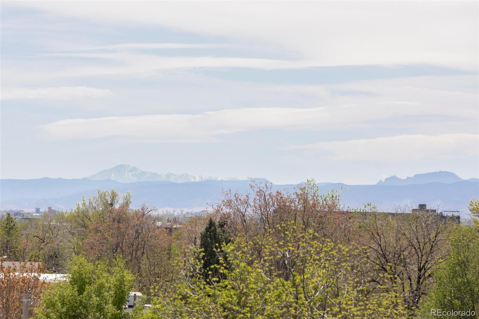MLS Image #40 for 2740  hazel court,denver, Colorado
