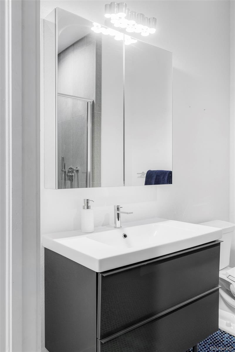 MLS Image #47 for 2740  hazel court,denver, Colorado