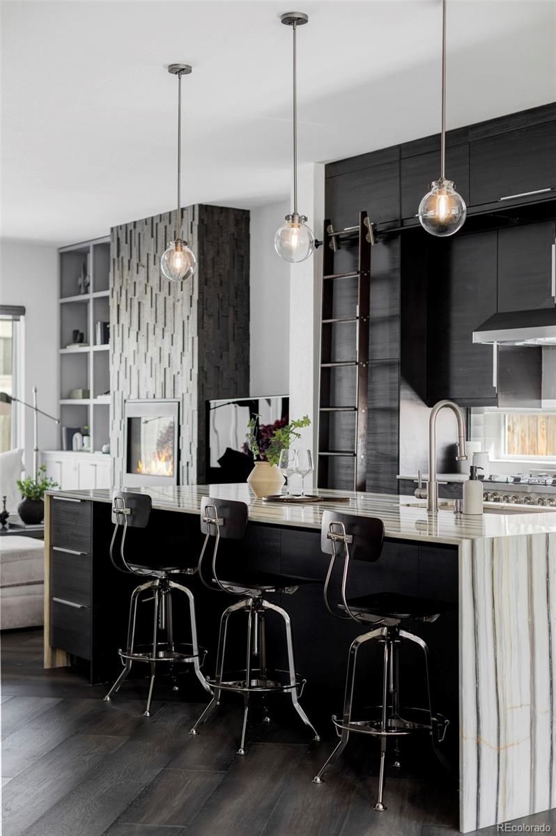 MLS Image #7 for 2740  hazel court,denver, Colorado
