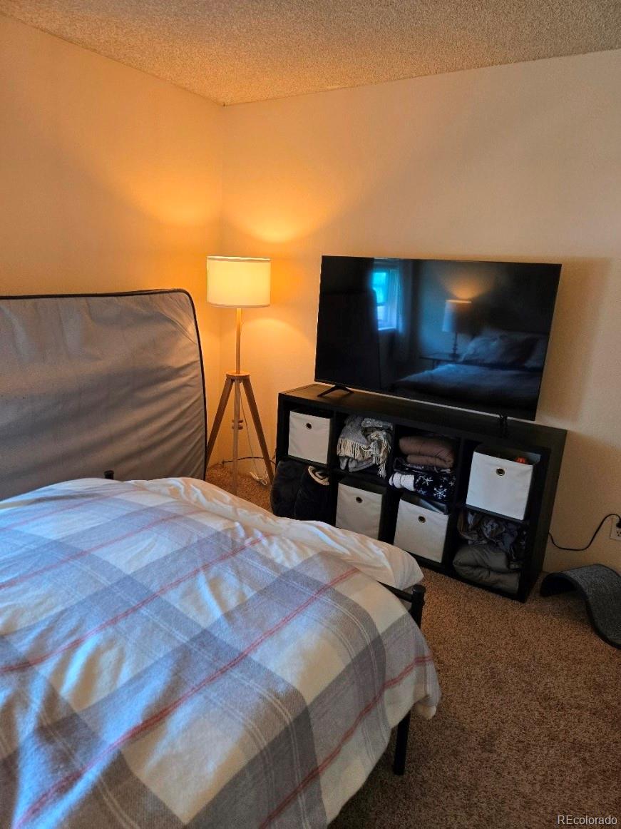 MLS Image #19 for 1250  golden circle,golden, Colorado