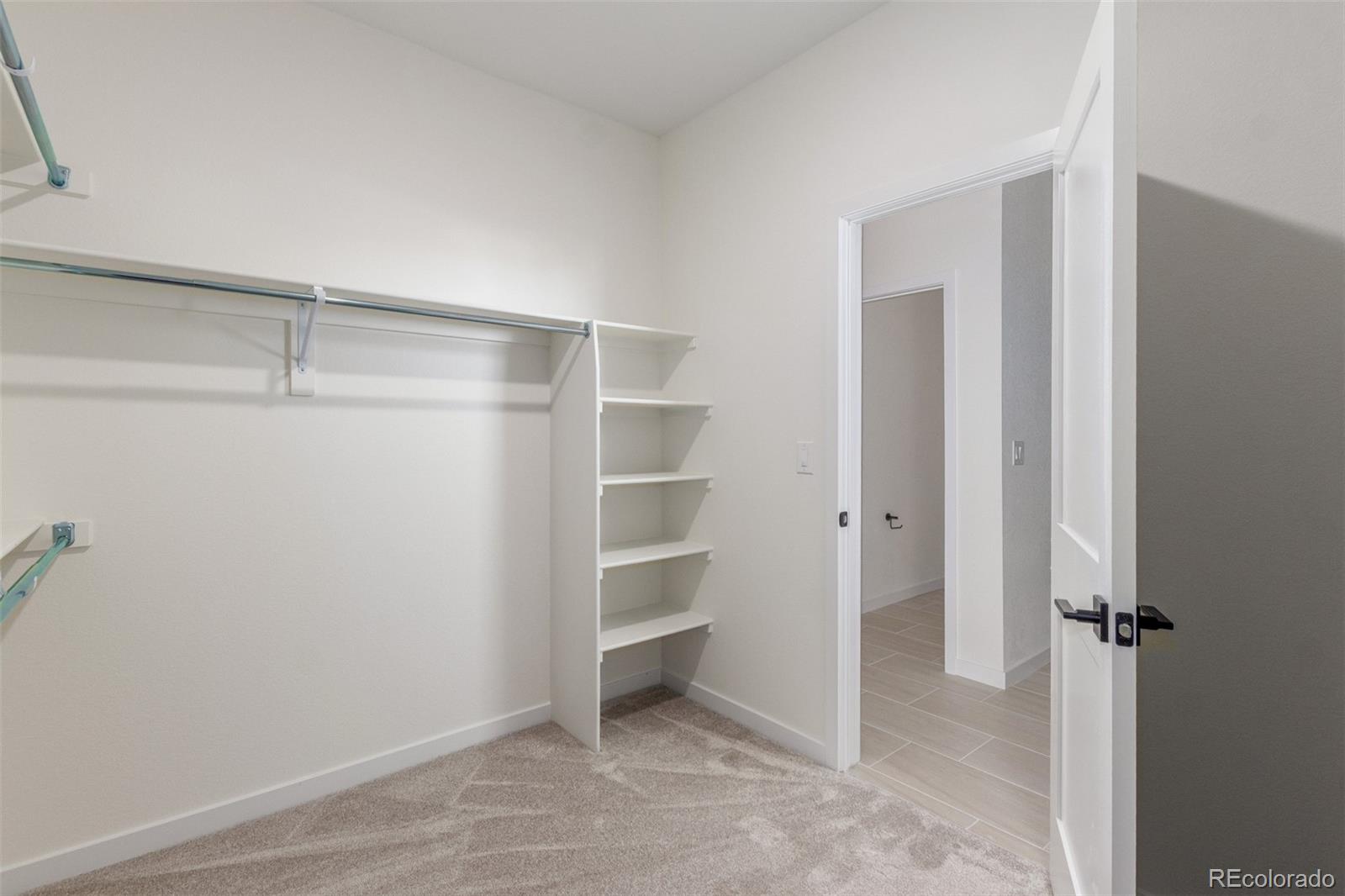 MLS Image #22 for 1590  chestnut avenue,erie, Colorado
