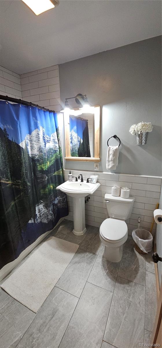 MLS Image #17 for 365  gold pan lane,fairplay, Colorado