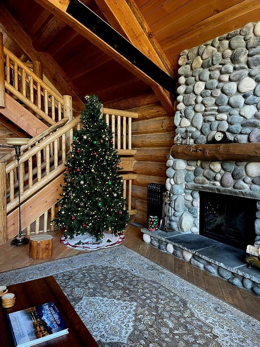MLS Image #20 for 365  gold pan lane,fairplay, Colorado
