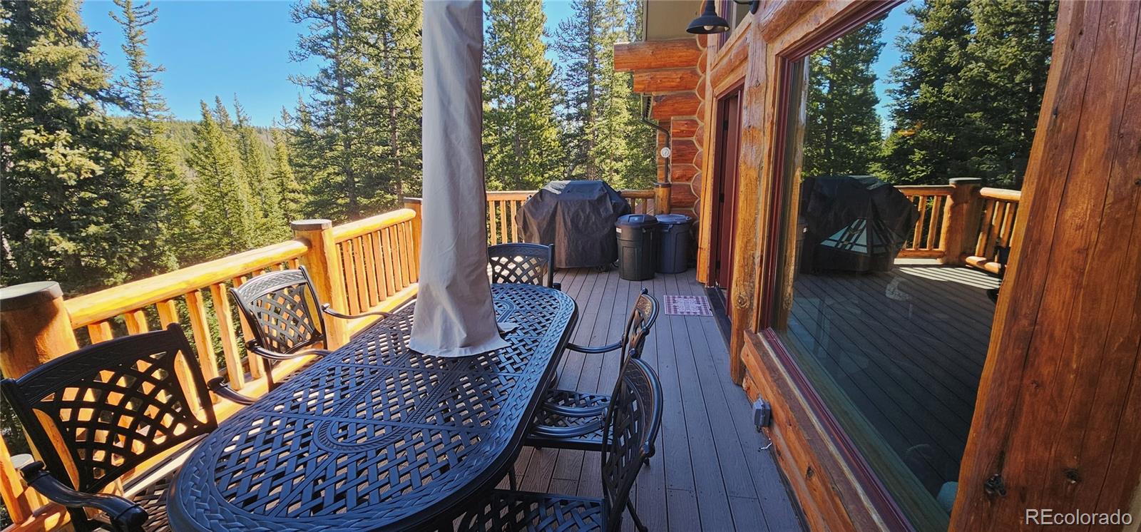 MLS Image #26 for 365  gold pan lane,fairplay, Colorado