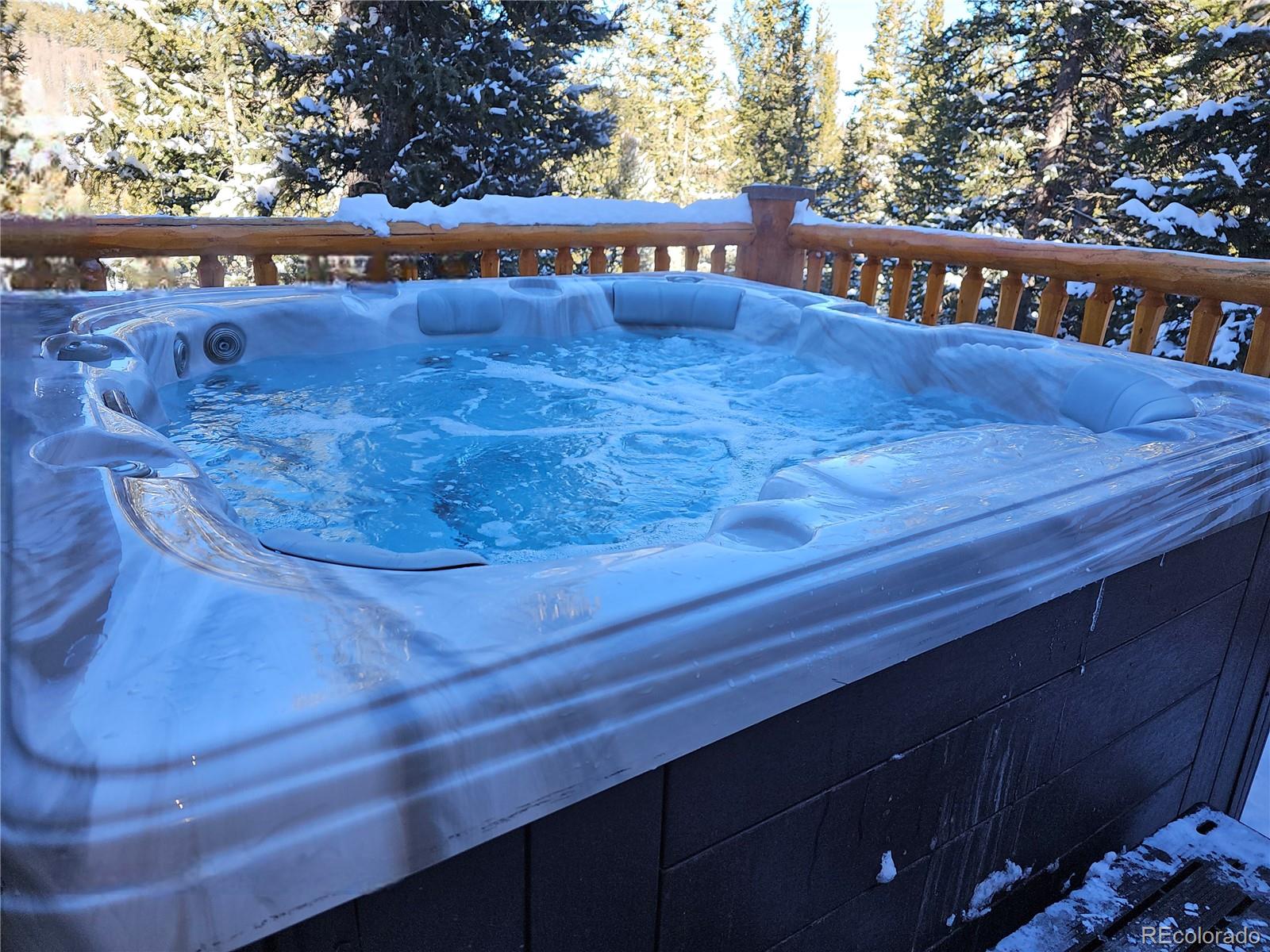 MLS Image #31 for 365  gold pan lane,fairplay, Colorado