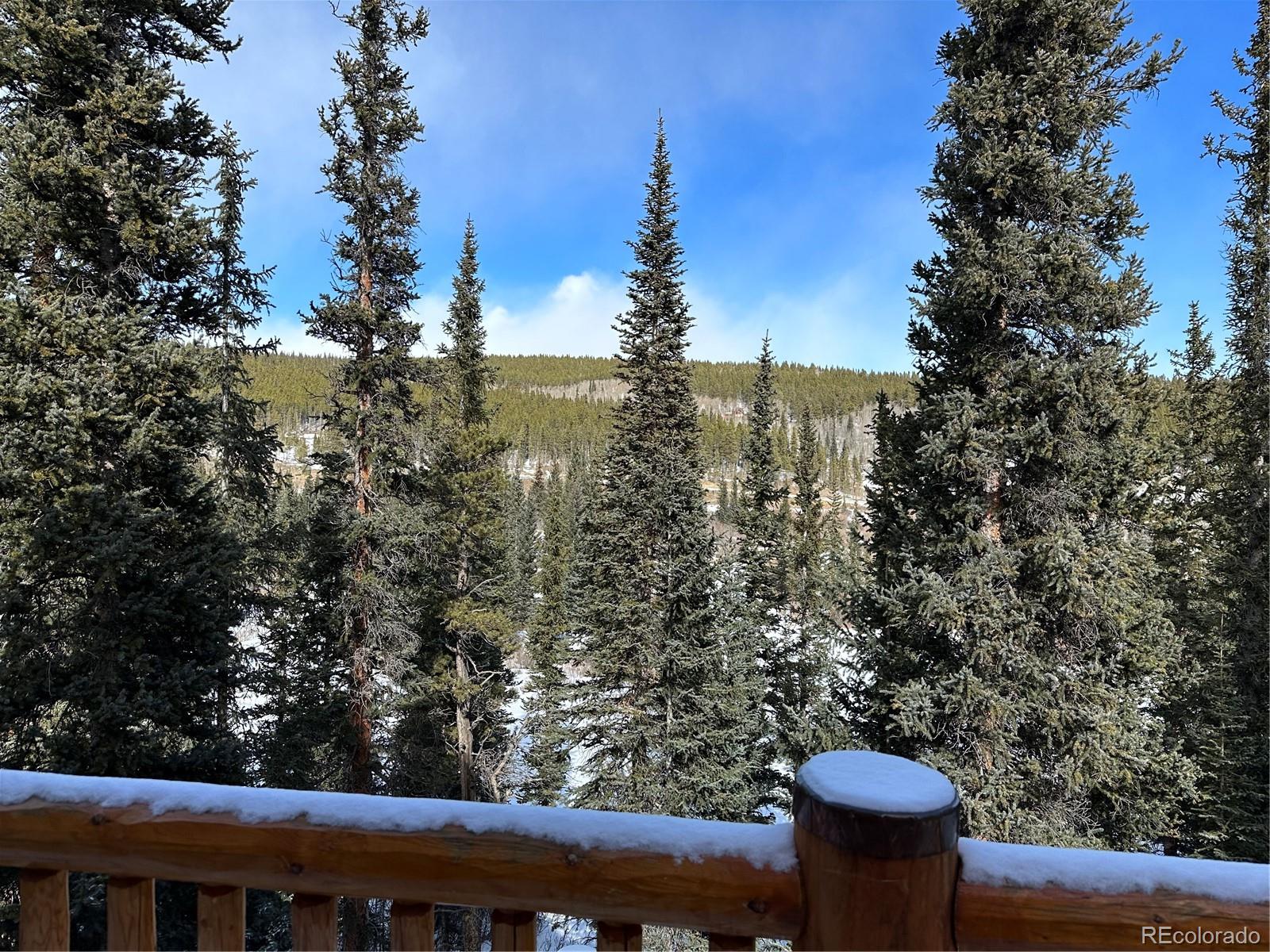 MLS Image #32 for 365  gold pan lane,fairplay, Colorado