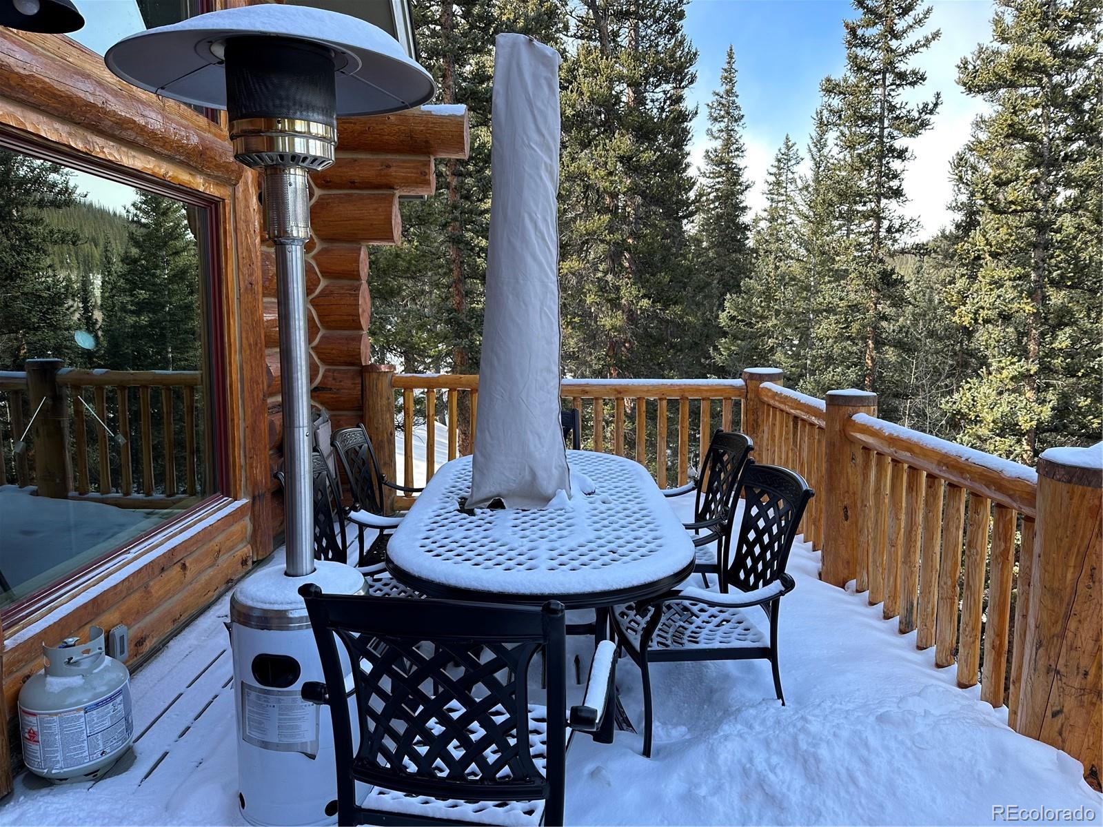 MLS Image #34 for 365  gold pan lane,fairplay, Colorado