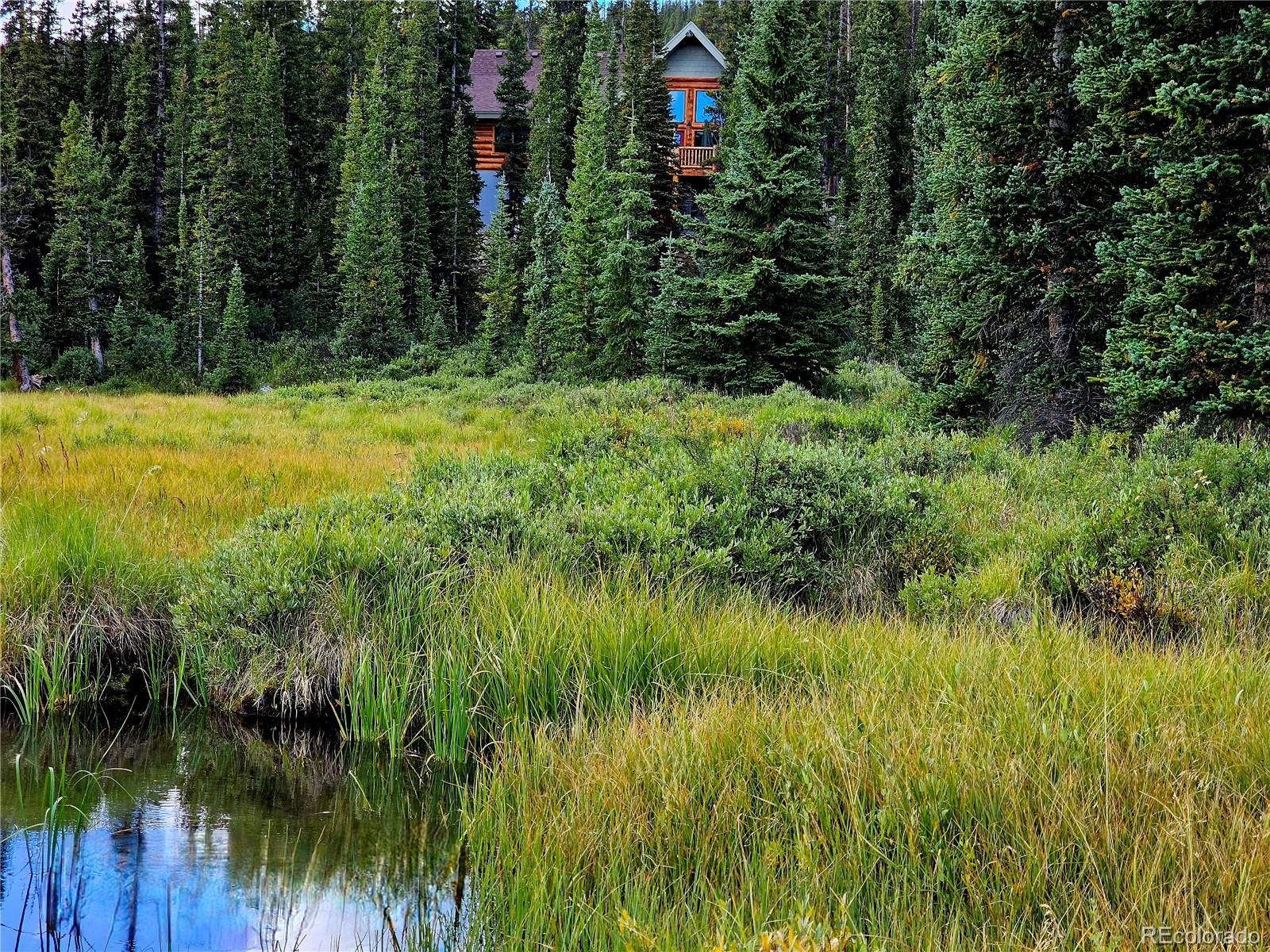 MLS Image #39 for 365  gold pan lane,fairplay, Colorado