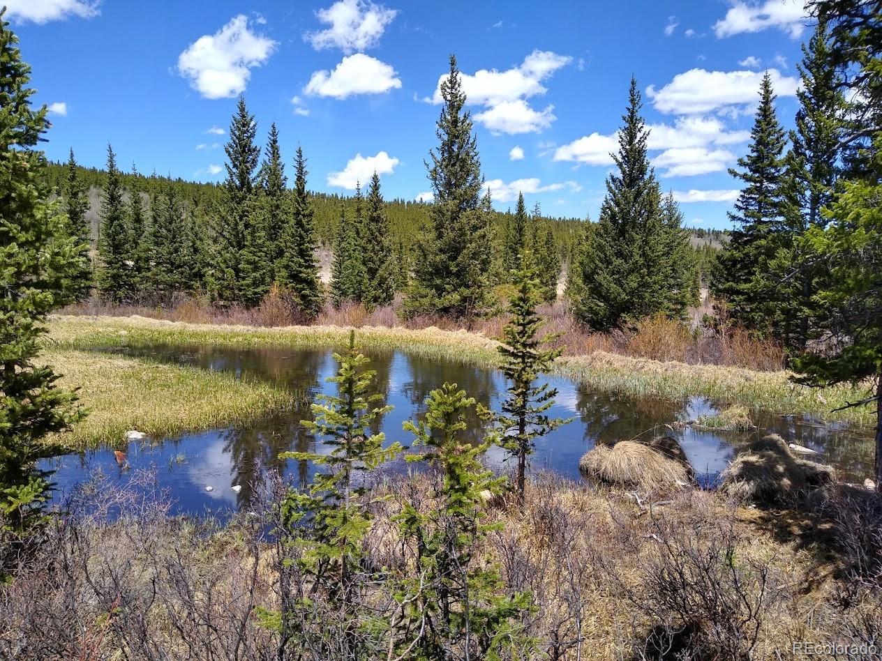 MLS Image #40 for 365  gold pan lane,fairplay, Colorado