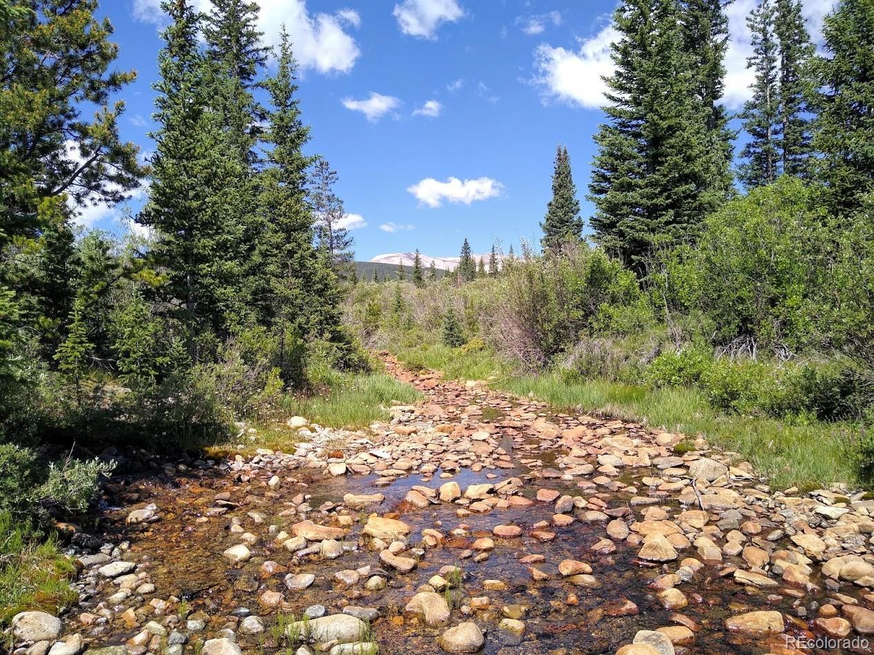 MLS Image #41 for 365  gold pan lane,fairplay, Colorado
