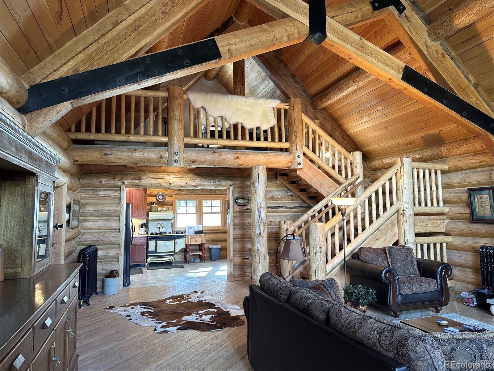 MLS Image #6 for 365  gold pan lane,fairplay, Colorado