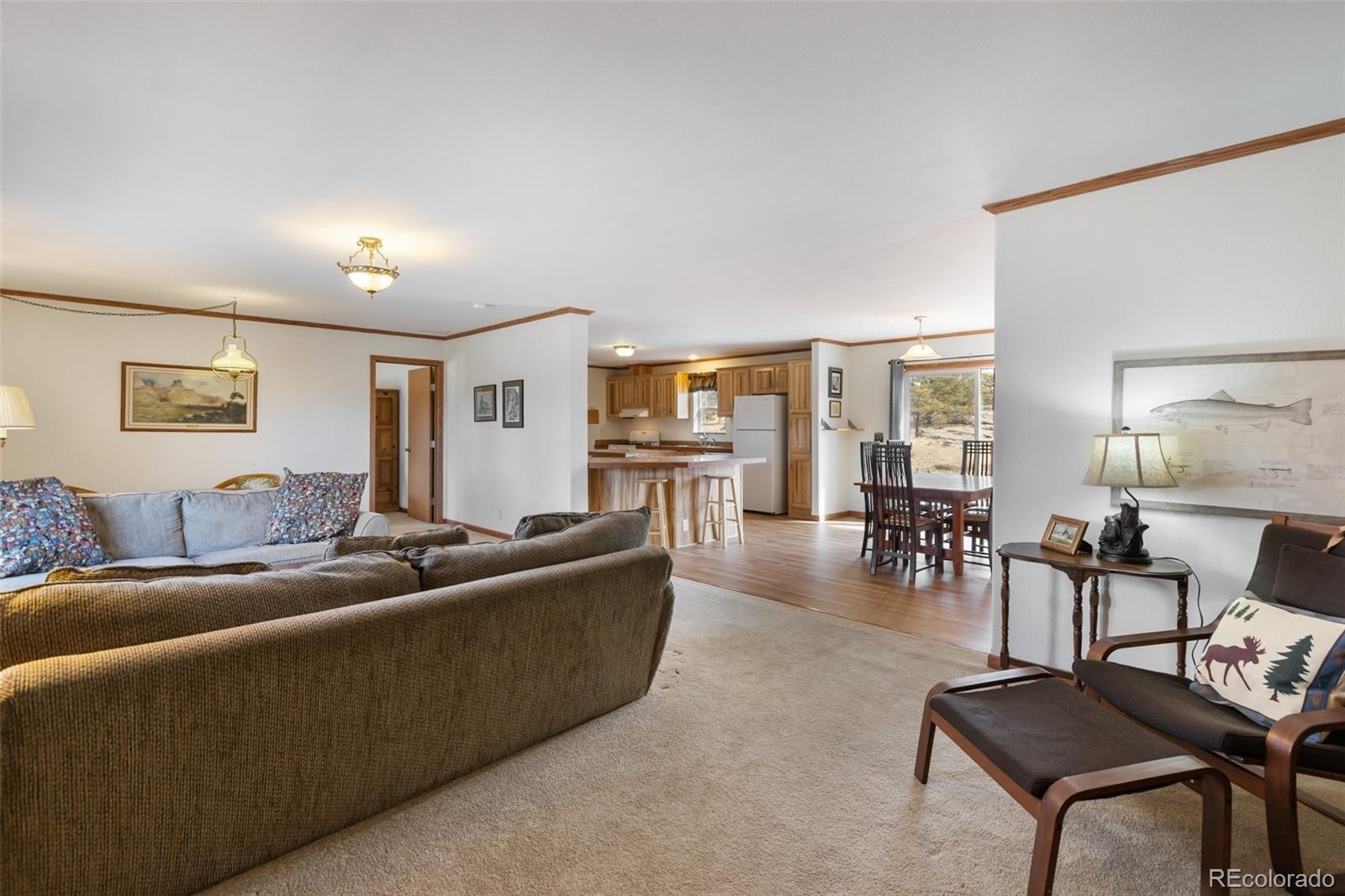 MLS Image #5 for 109  pawnee place,florissant, Colorado