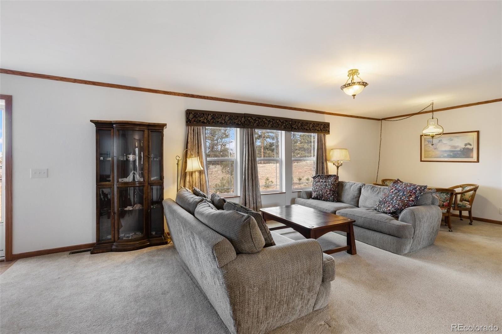 MLS Image #6 for 109  pawnee place,florissant, Colorado