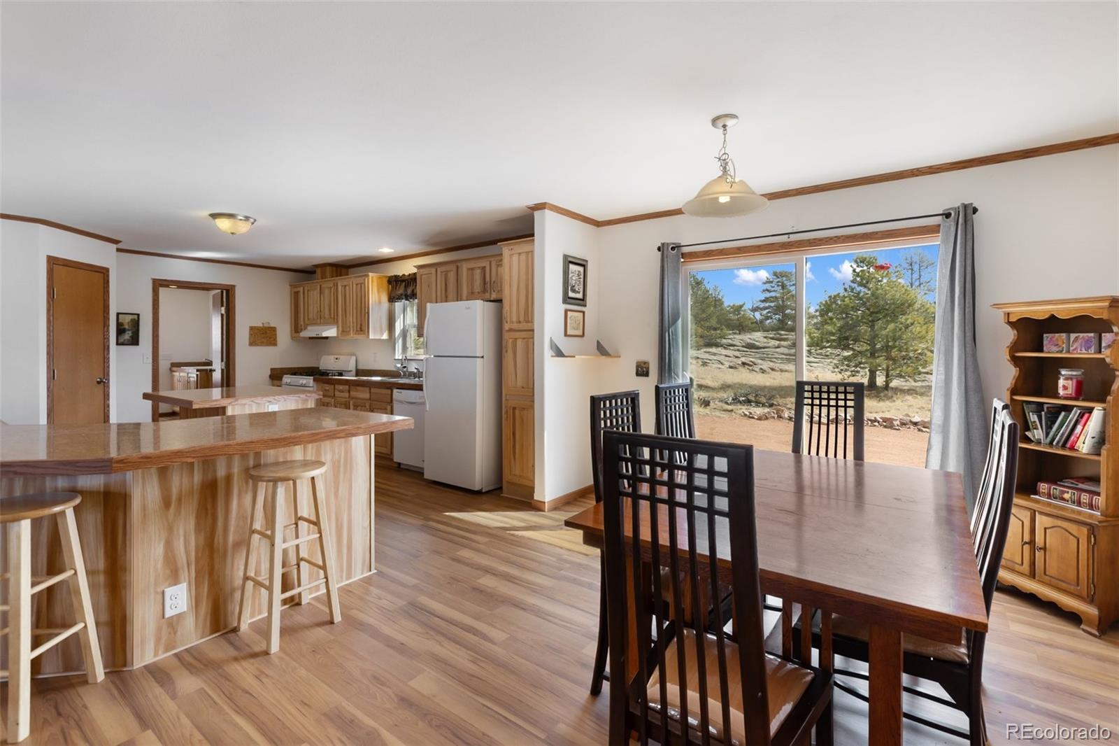 MLS Image #8 for 109  pawnee place,florissant, Colorado