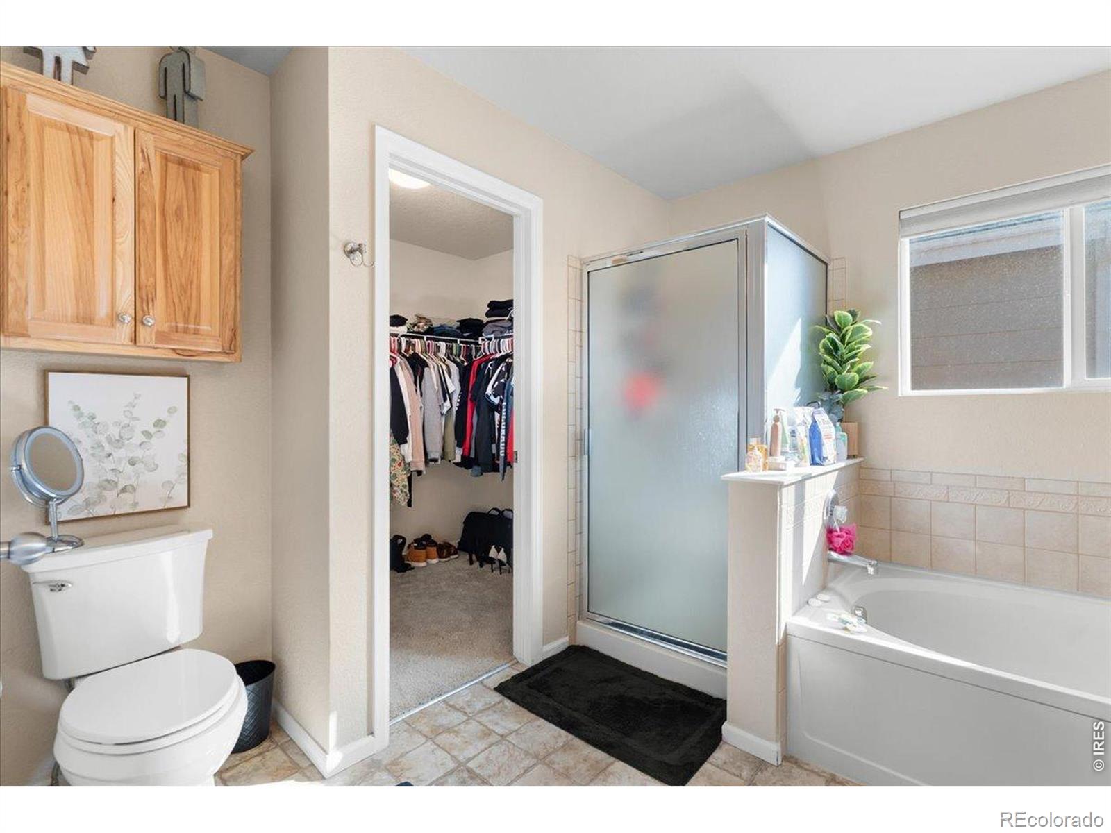 MLS Image #20 for 2757  sternwheeler drive,fort collins, Colorado
