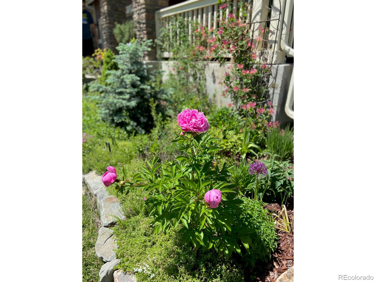 MLS Image #37 for 2757  sternwheeler drive,fort collins, Colorado