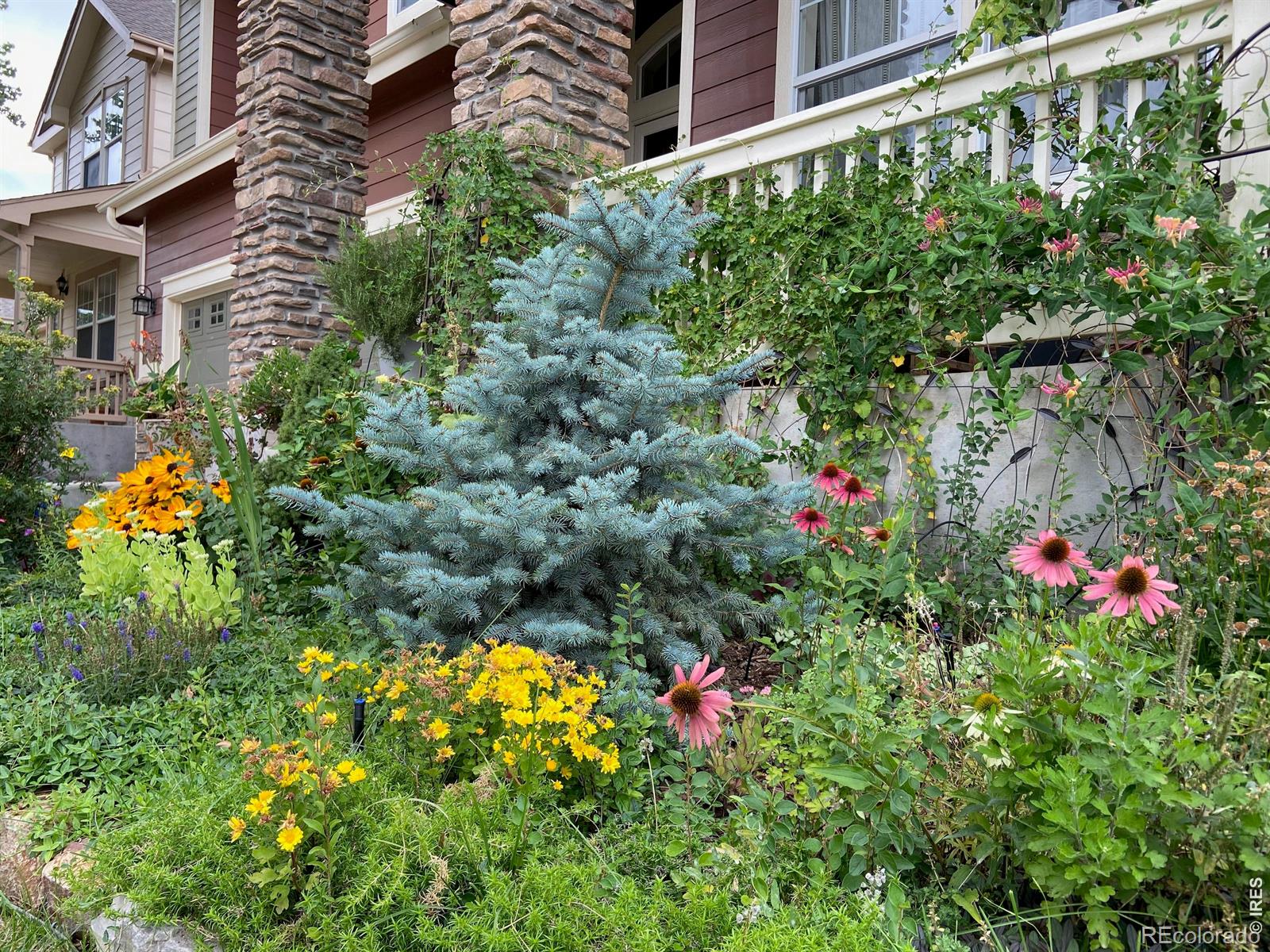 MLS Image #40 for 2757  sternwheeler drive,fort collins, Colorado