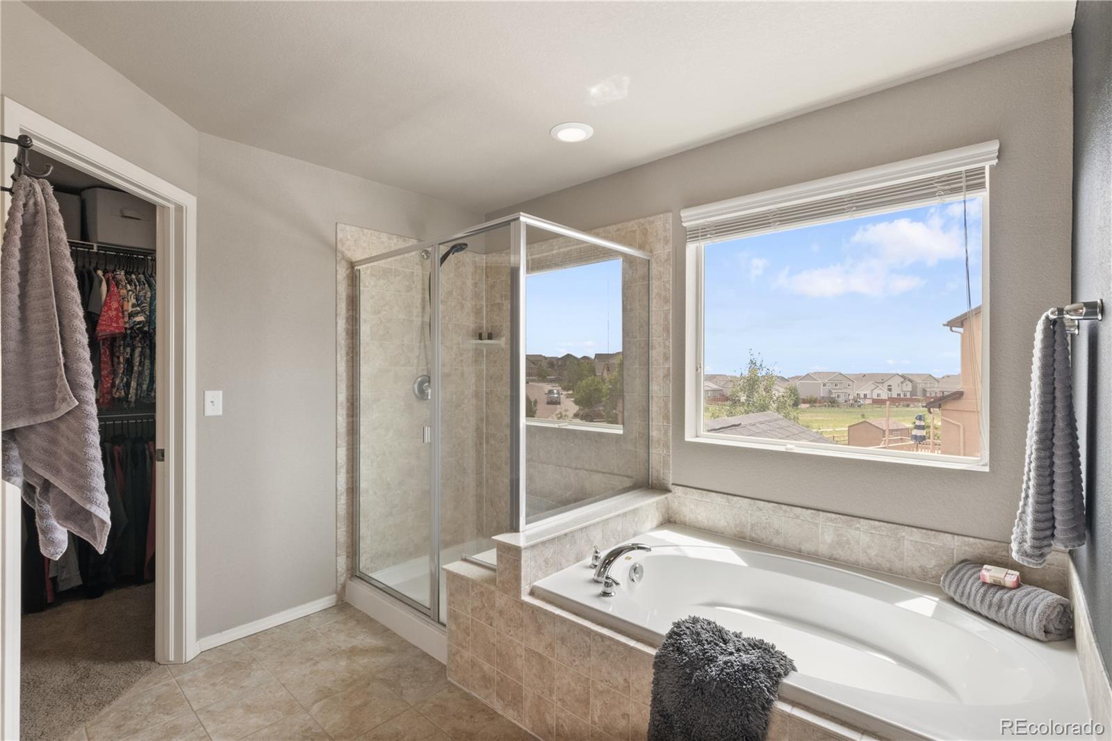 MLS Image #27 for 12985  mt harvard drive,peyton, Colorado