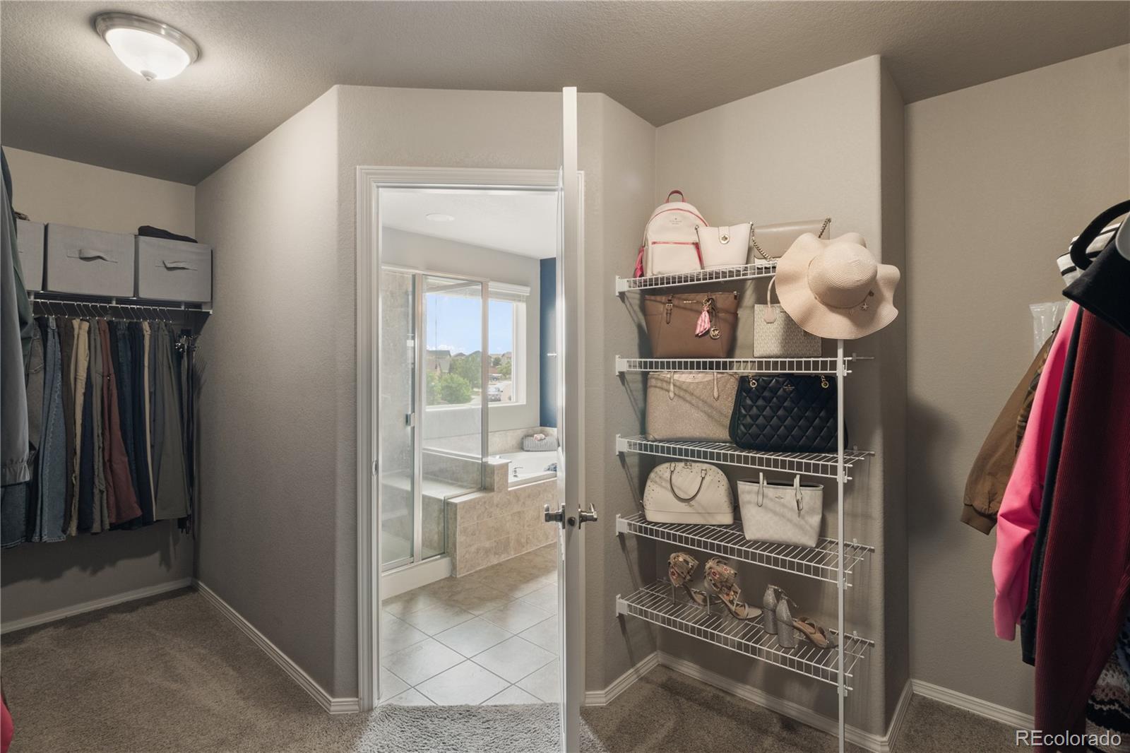 MLS Image #28 for 12985  mt harvard drive,peyton, Colorado