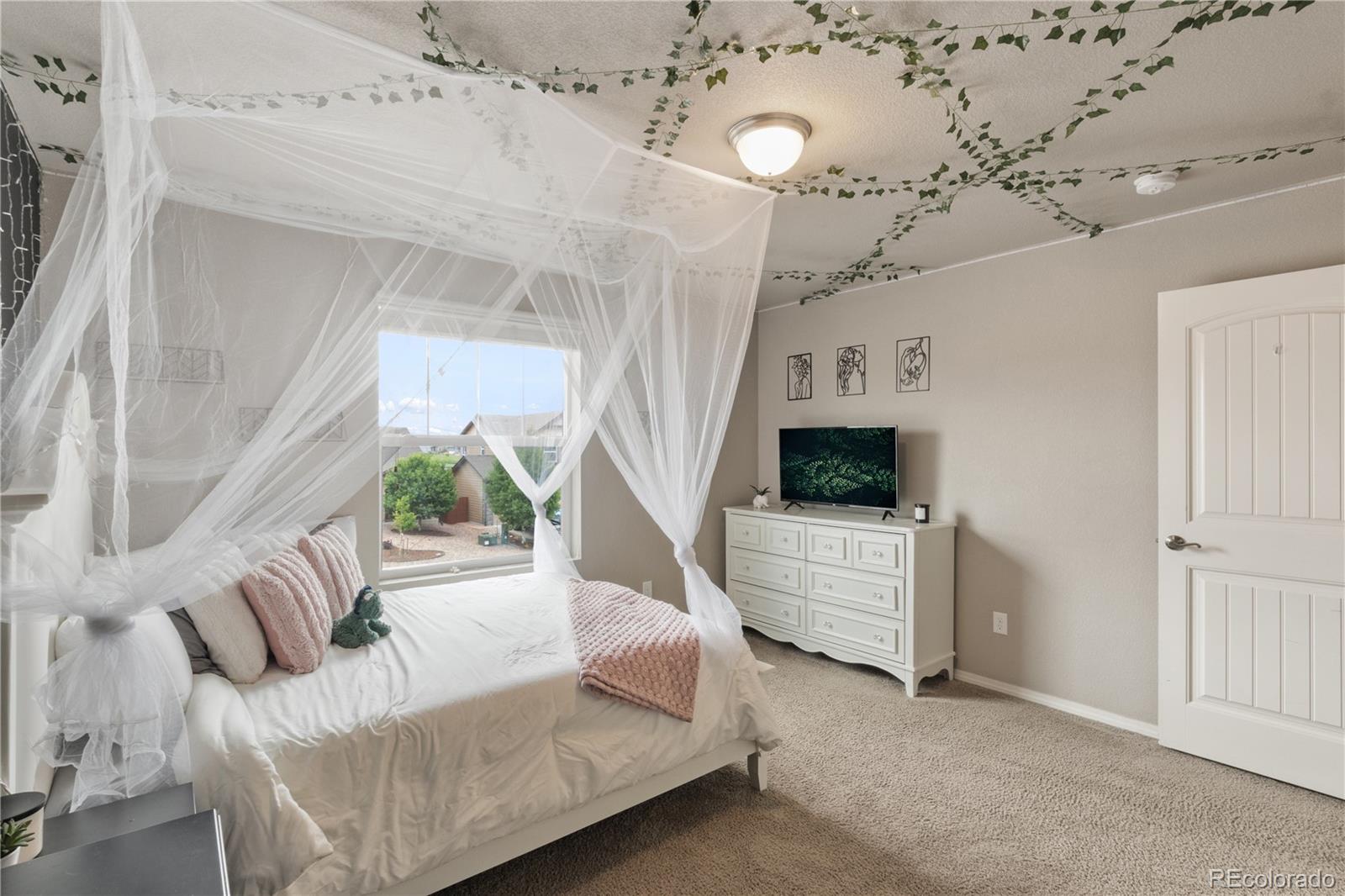 MLS Image #39 for 12985  mt harvard drive,peyton, Colorado