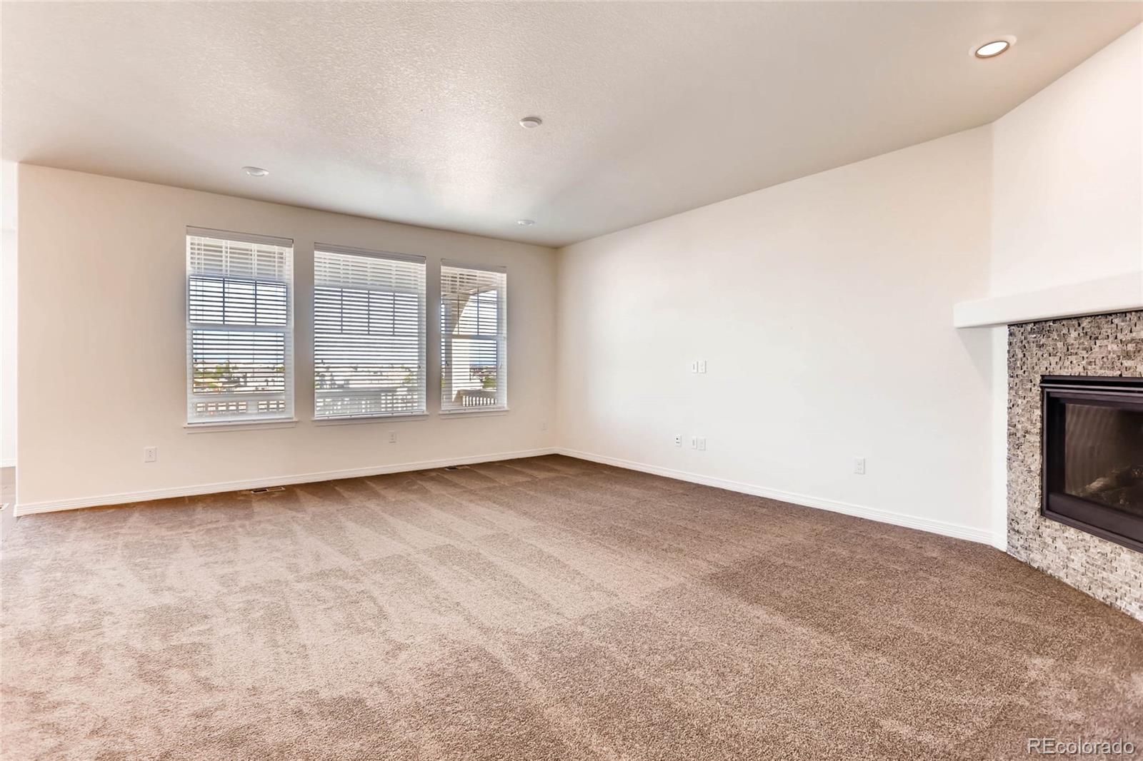 MLS Image #10 for 14822  vienna circle,parker, Colorado
