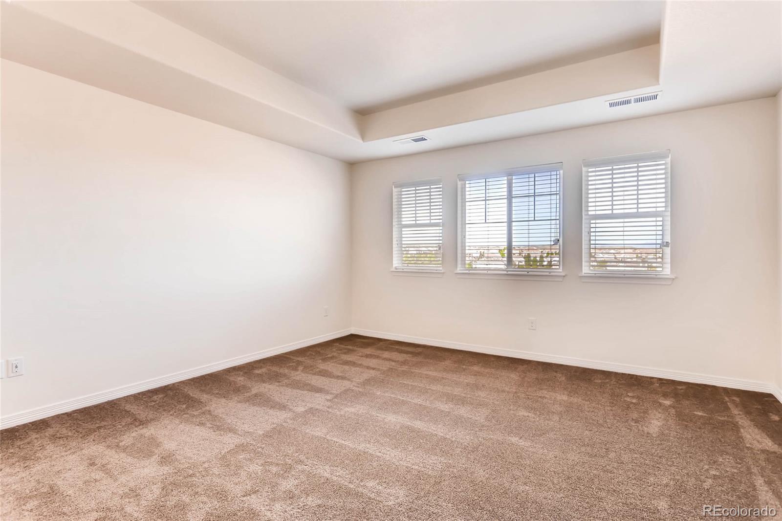 MLS Image #15 for 14822  vienna circle,parker, Colorado