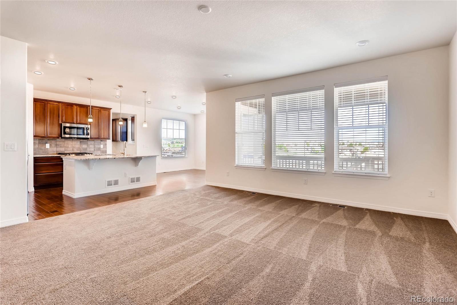 MLS Image #9 for 14822  vienna circle,parker, Colorado