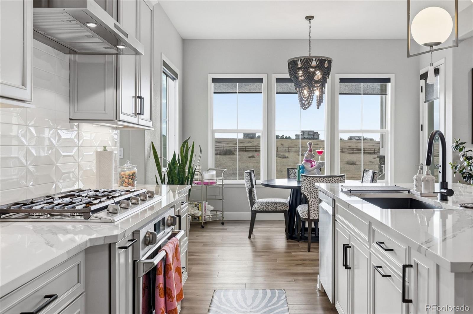 MLS Image #16 for 9341  red primrose street,franktown, Colorado