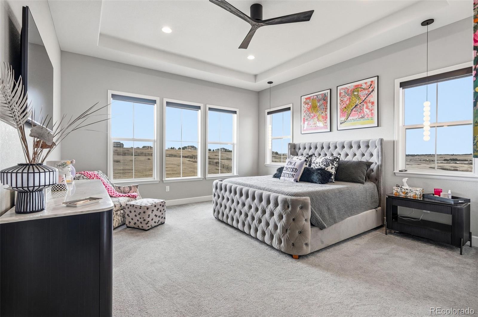 MLS Image #23 for 9341  red primrose street,franktown, Colorado