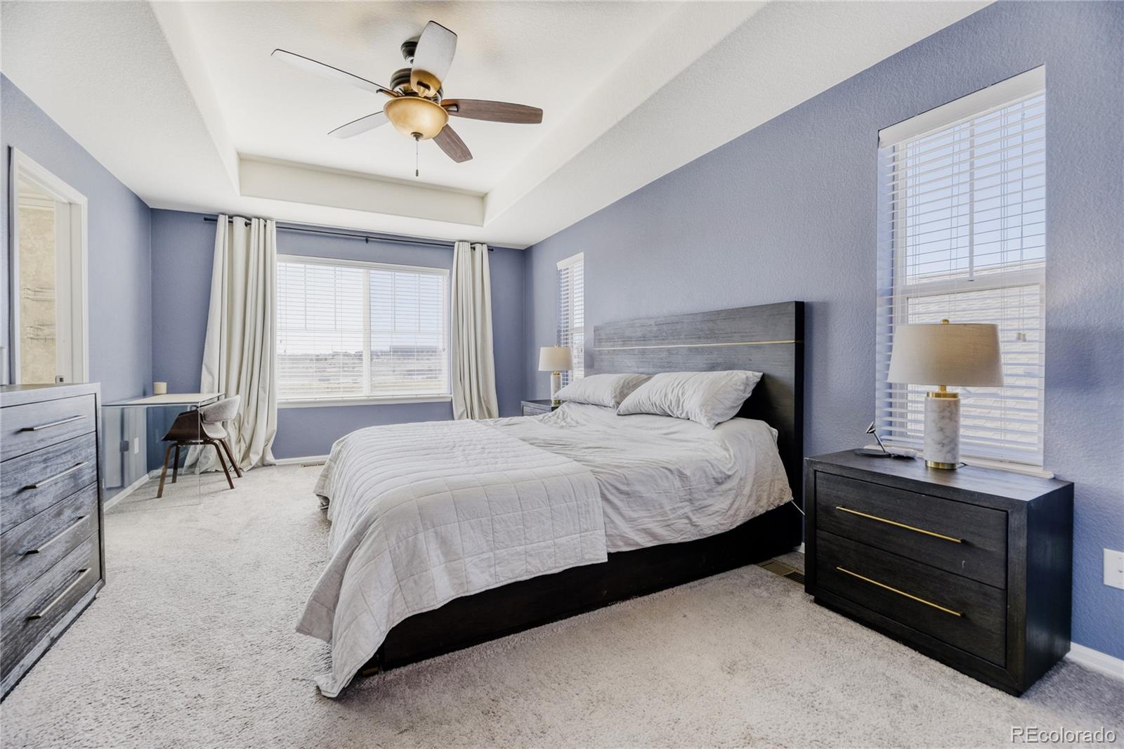 MLS Image #10 for 16584  azalea avenue,parker, Colorado