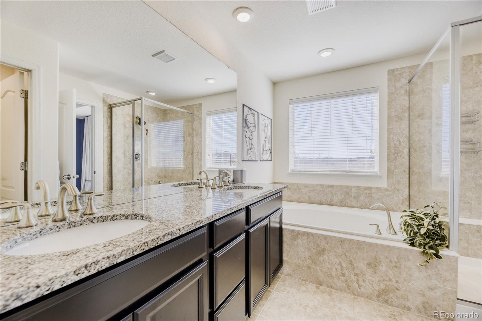 MLS Image #11 for 16584  azalea avenue,parker, Colorado
