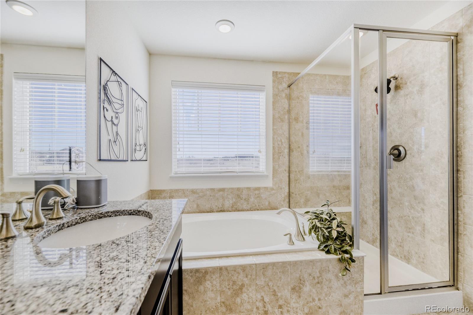 MLS Image #12 for 16584  azalea avenue,parker, Colorado