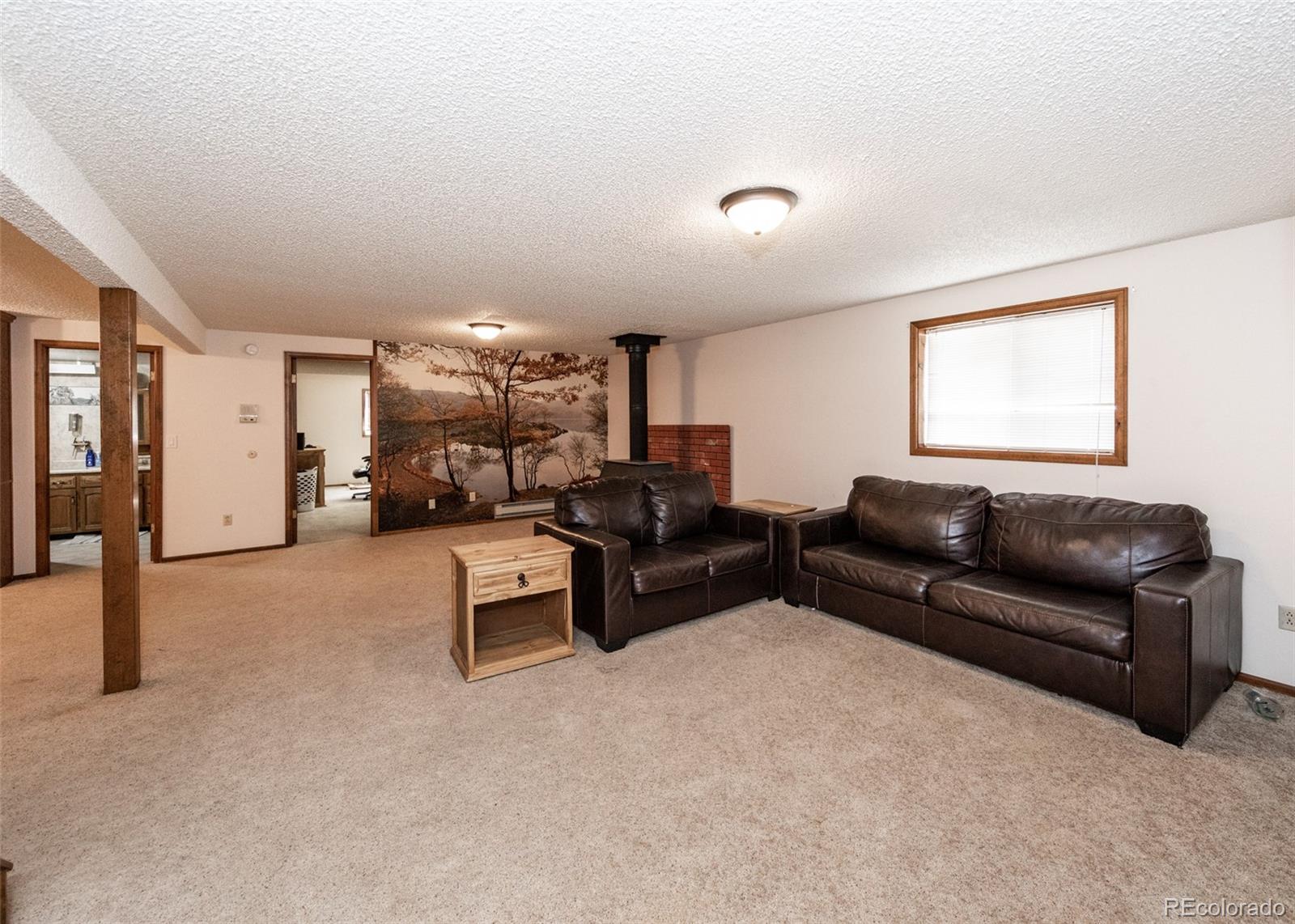 MLS Image #23 for 11210  eggar drive,peyton, Colorado