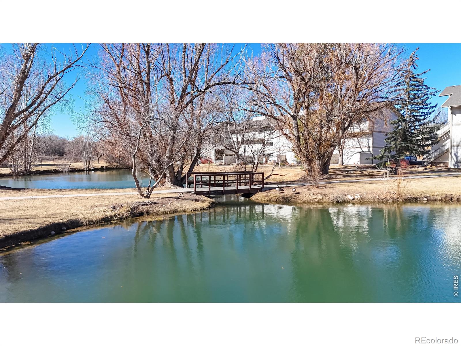 MLS Image #2 for 1705  heatheridge road,fort collins, Colorado
