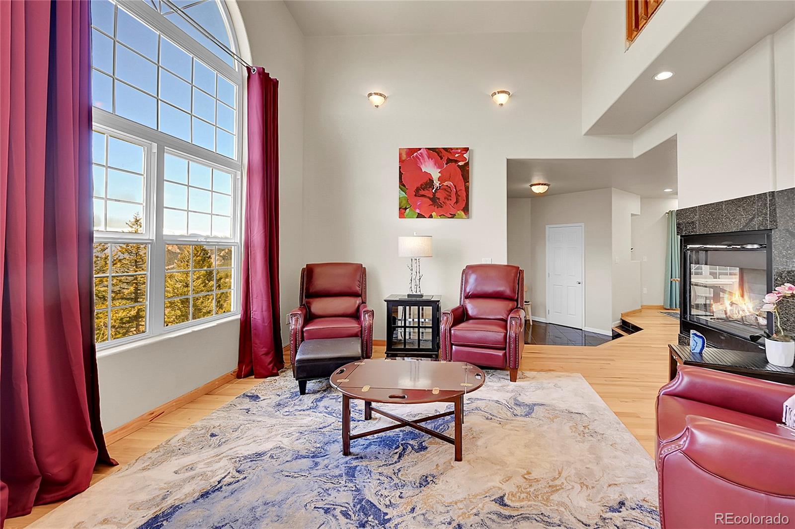 MLS Image #16 for 11770  leavenworth drive,conifer, Colorado