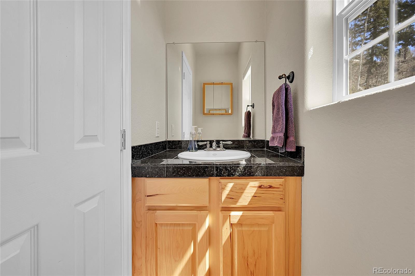 MLS Image #23 for 11770  leavenworth drive,conifer, Colorado