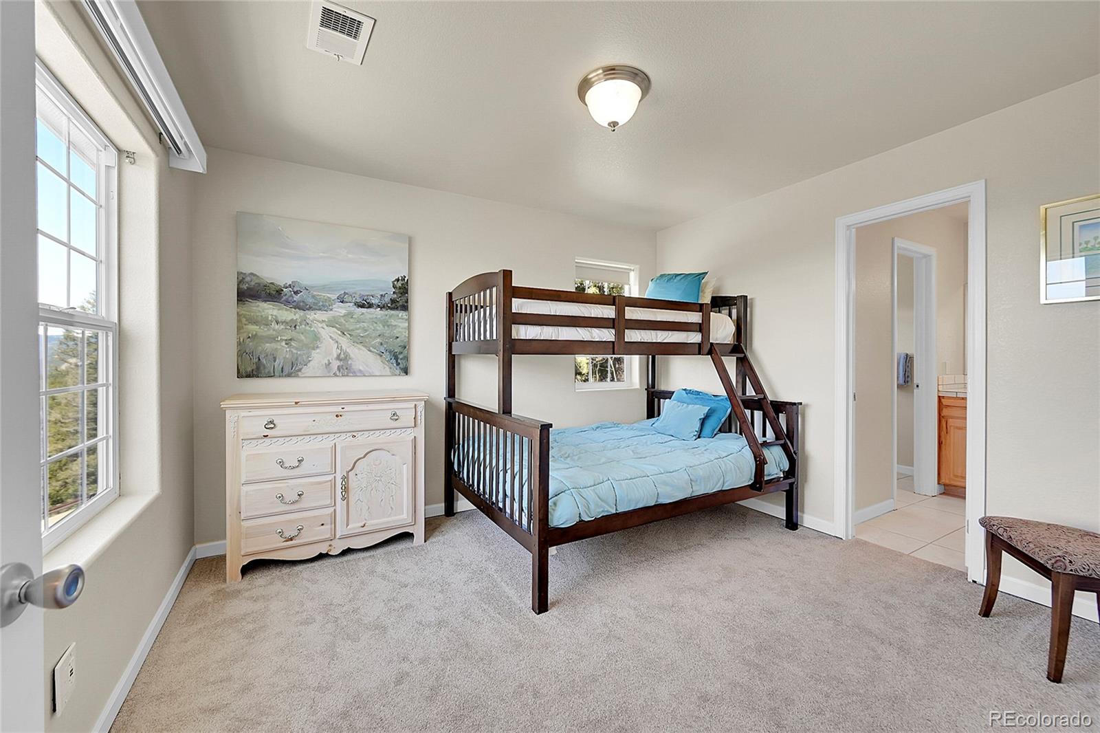 MLS Image #31 for 11770  leavenworth drive,conifer, Colorado