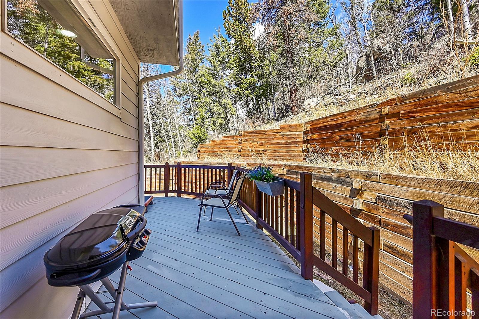 MLS Image #39 for 11770  leavenworth drive,conifer, Colorado
