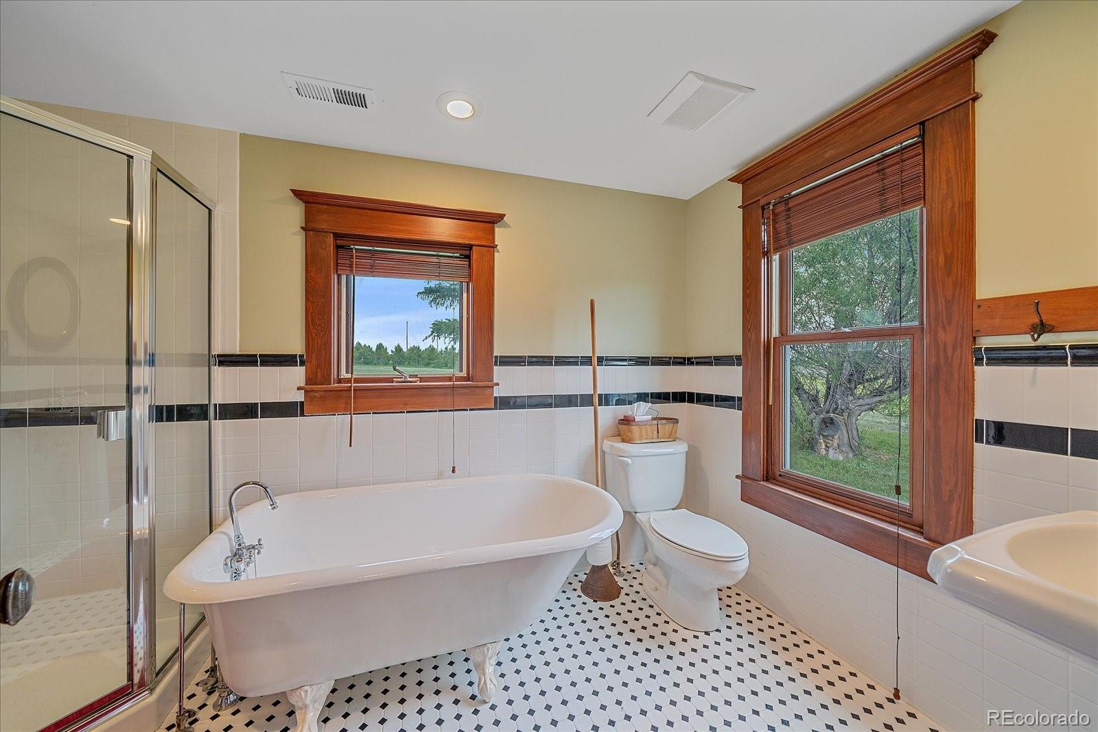MLS Image #29 for 22624  county road 5 ,elbert, Colorado