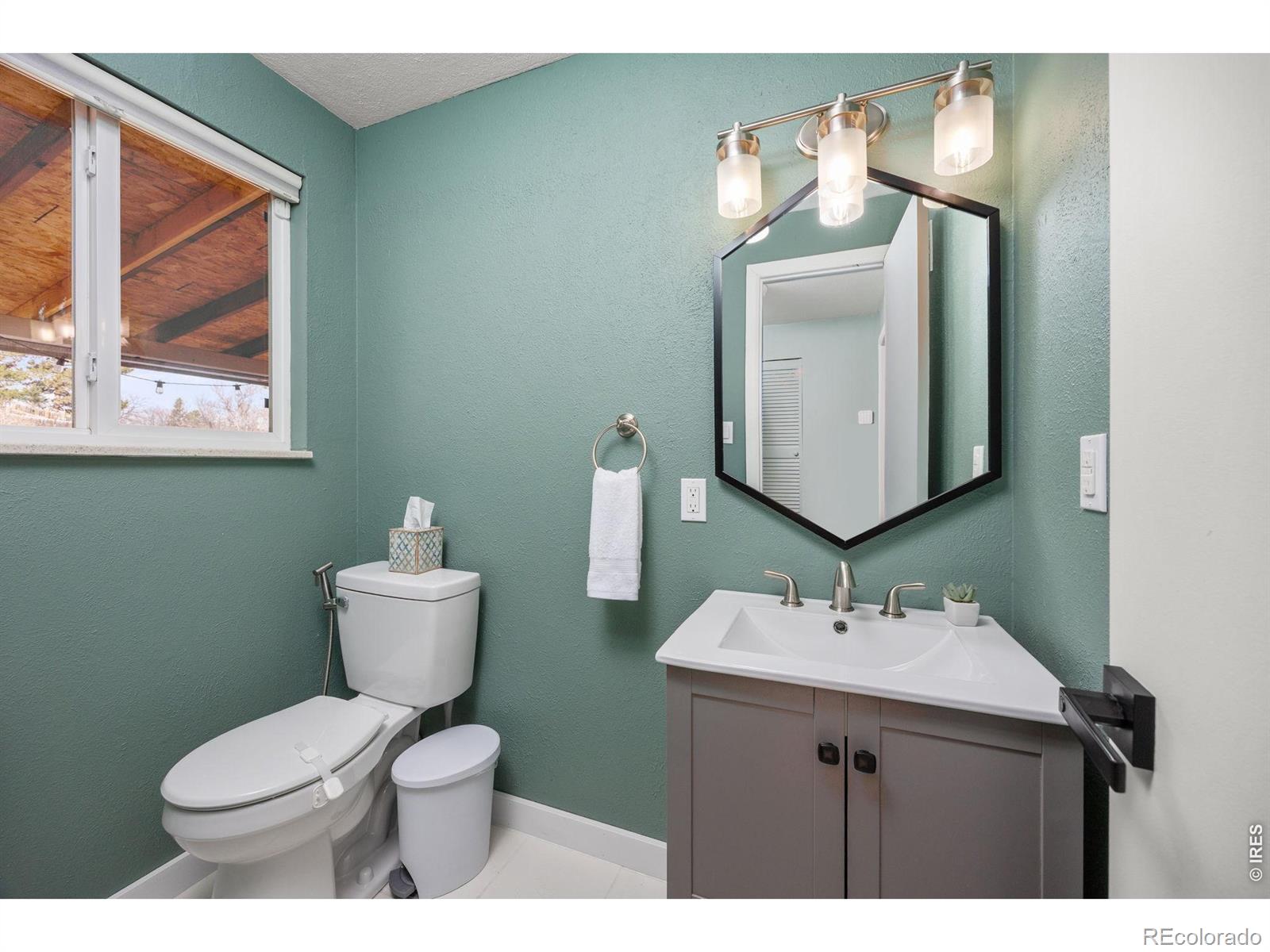 MLS Image #10 for 4747 s oak court,littleton, Colorado
