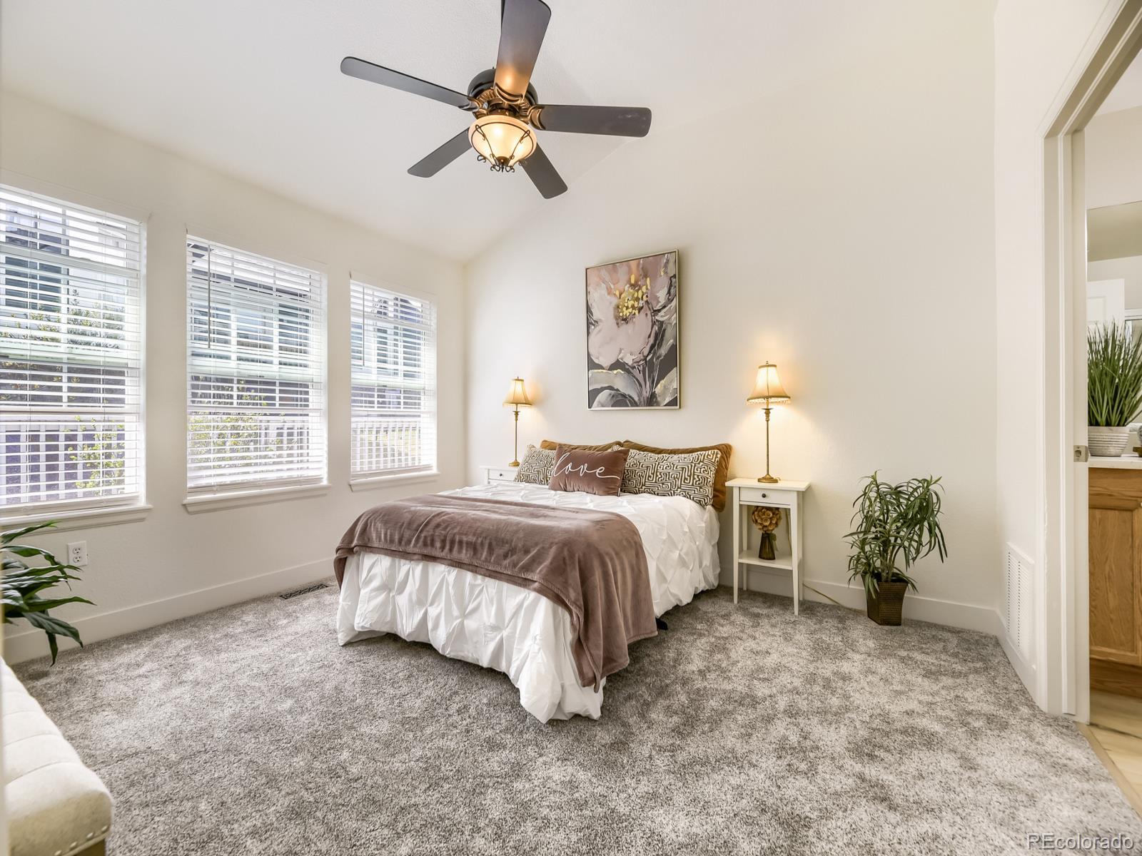 MLS Image #9 for 23682 e links place ,aurora, Colorado